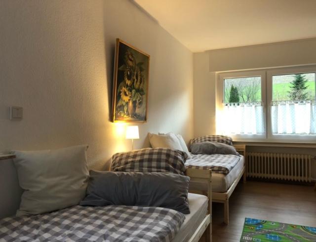 Ferienwohnung Paeusken Im Hochsauerland- E- Bike Und Auto Laden Moeglich Bestwig Exterior photo